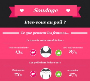 Rencontres pour Infographie de l'été - Êtes-vous au poil ?