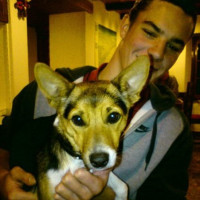 photo de ImAKoala