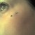 Rencontrer Femme venerque Poupinette31
