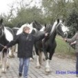 rencontre photo de Corinne78