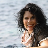 photo de Pavots