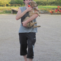 photo de Moustique1