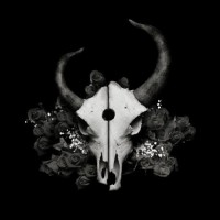 photo de Fallen