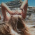 Rencontrer Femme aix-les-bains Annabellle1