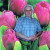 Rencontrer Homme flayosc Cocodimoi