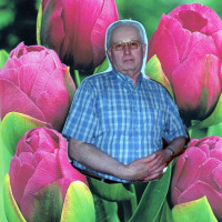 photo de Cocodimoi