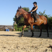 photo de Habby1