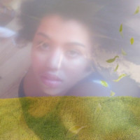photo de Fraisie