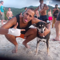 photo de Guzzoo