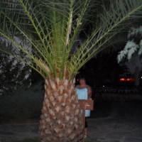 photo de Muriellenaers