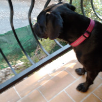 photo de Supervaloche