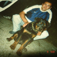 photo de Gavallo