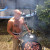 Rencontrer Homme thiviers Vincent24800