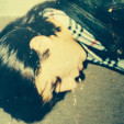 rencontre photo de AytekinTemel