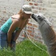 rencontre photo de Alberna
