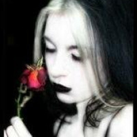 photo de Artica