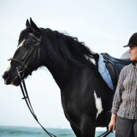 photo de Fabtinker
