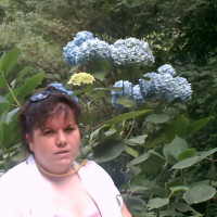 photo de Bichette