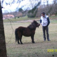 rencontre photo de Thierry
