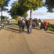 rencontre photo de Hommess