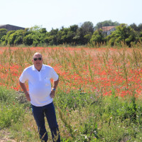 photo de Scuscu