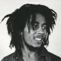 photo de Marley