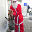 rencontre photo de Arlequin1734