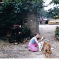 photo de Orkydee