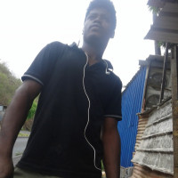 photo de Mangave