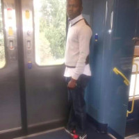 photo de Tardismassika