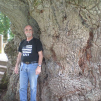 photo de Norton1