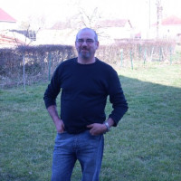 photo de Tintinus