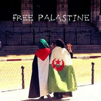 photo de Aminedjadja