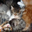rencontre photo de Meriem4