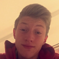 photo de Tintin381