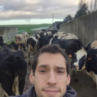 photo de Tibobj