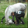 rencontre photo de Holyromain
