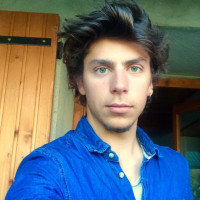photo de Leocailheton