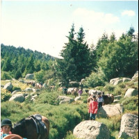photo de Thof43