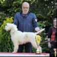 rencontre photo de Orvile10