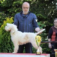 photo de Orvile10