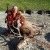Rencontrer Homme rozay-en-brie Paic77
