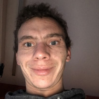 photo de Bananierjaune