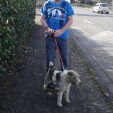 rencontre photo de Ricou47