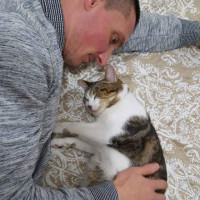 photo de Cocoflo