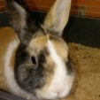 rencontre photo de Lulid41