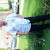 Rencontrer Homme hautmont Belmon