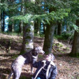 rencontre photo de Alec19
