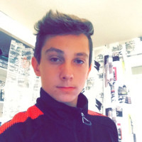 photo de Lauris