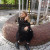Rencontrer Femme malines Evadeals